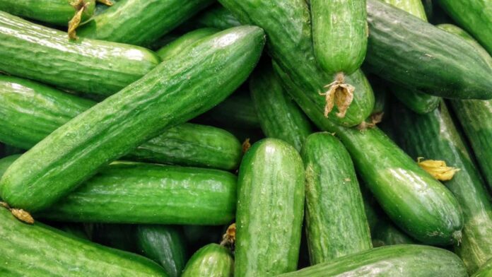Best uses of cucumber for a healthy lifestyle